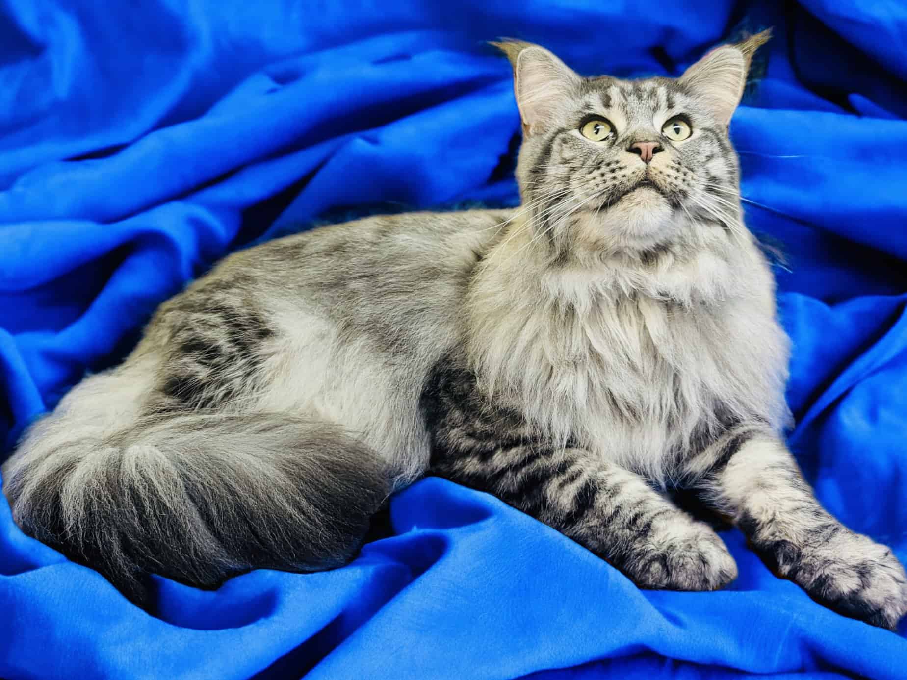 PhotoRoom_20231205_175357